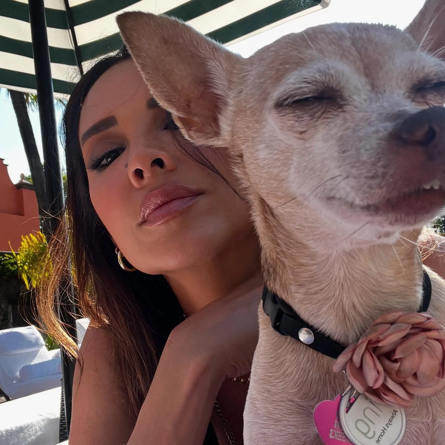 NEWSFLASH: Every day is #nationaldogday with @kikivonkeeks