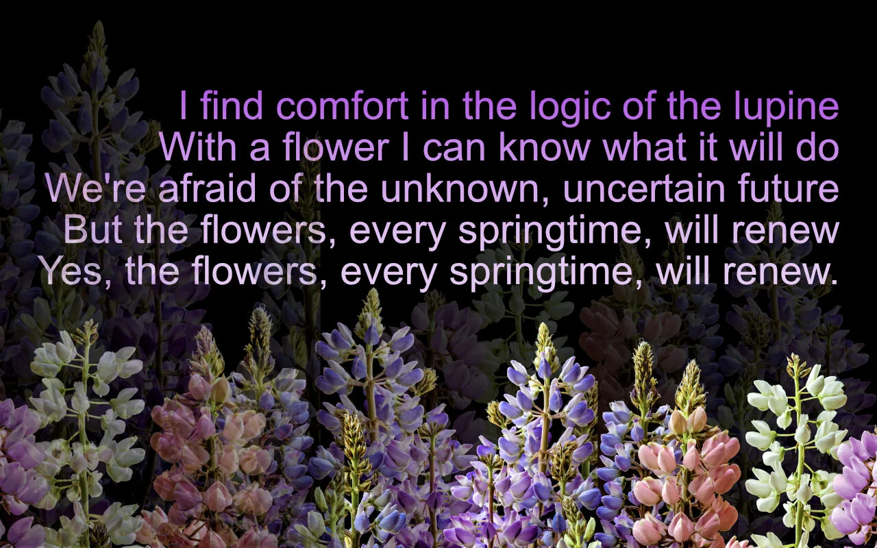 lupine quote.jpg
