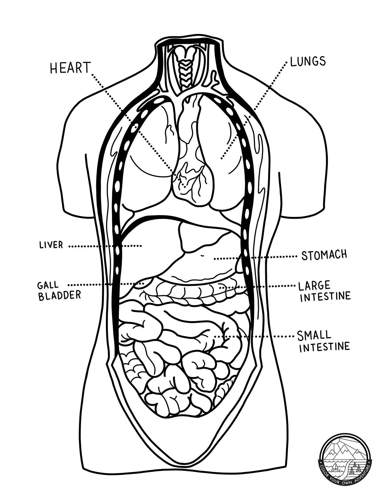 Human Body Coloring Page.jpg