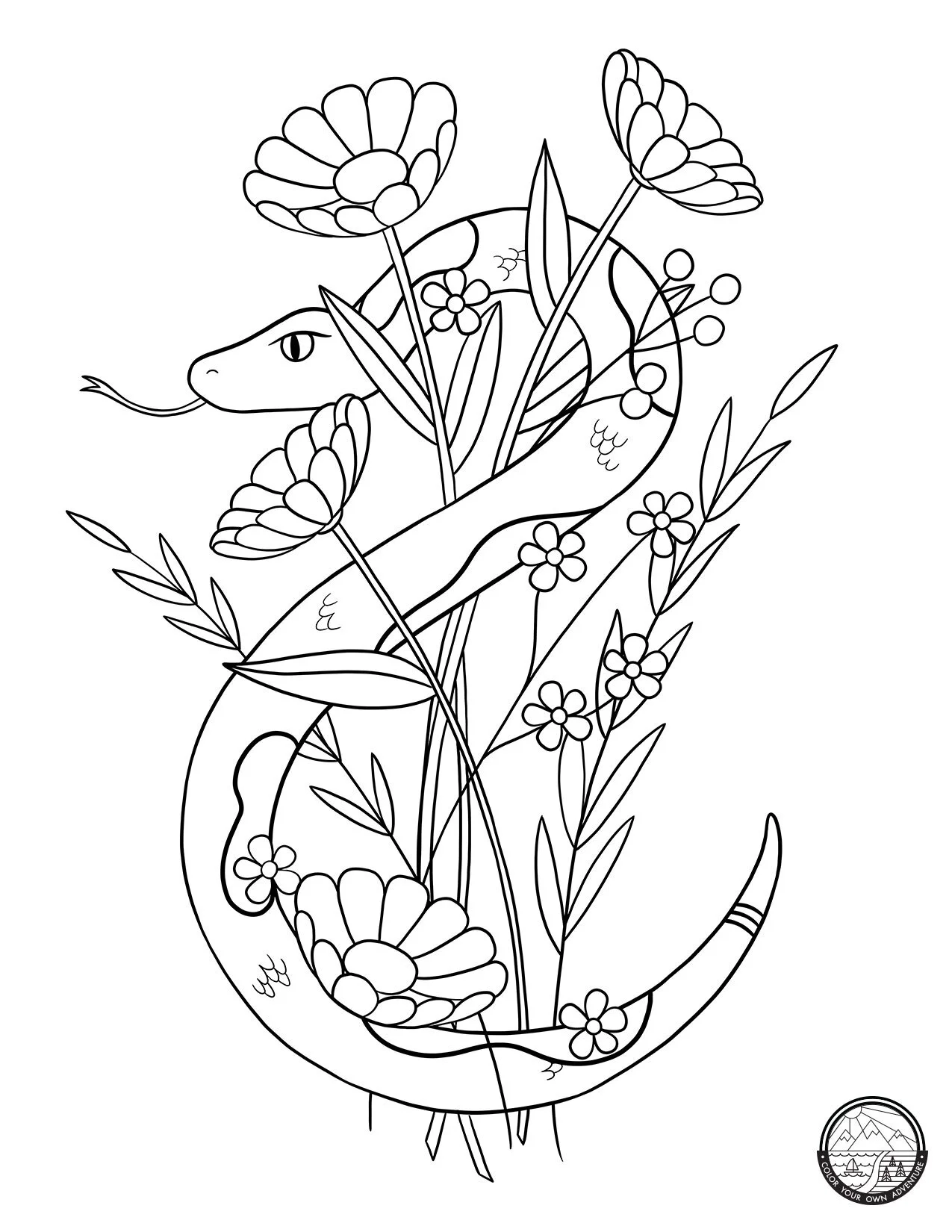 Color Your Own Adventure