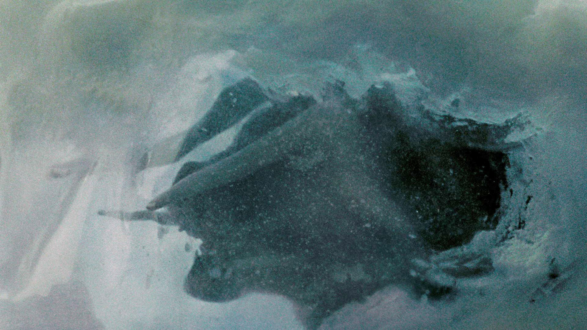 botsw04.jpg