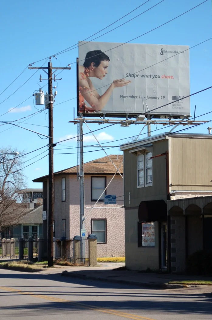 EchindaLabs billboard.jpg
