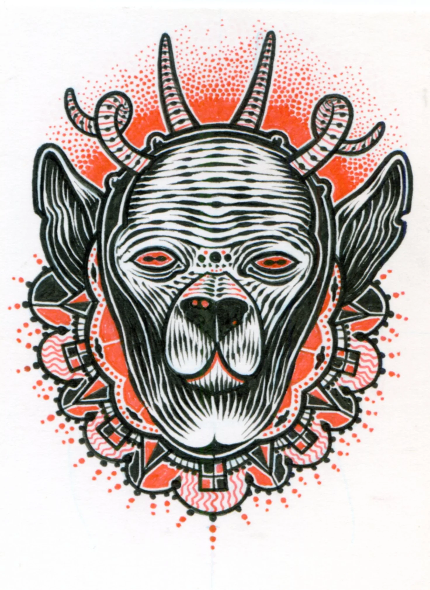 RED STAGG