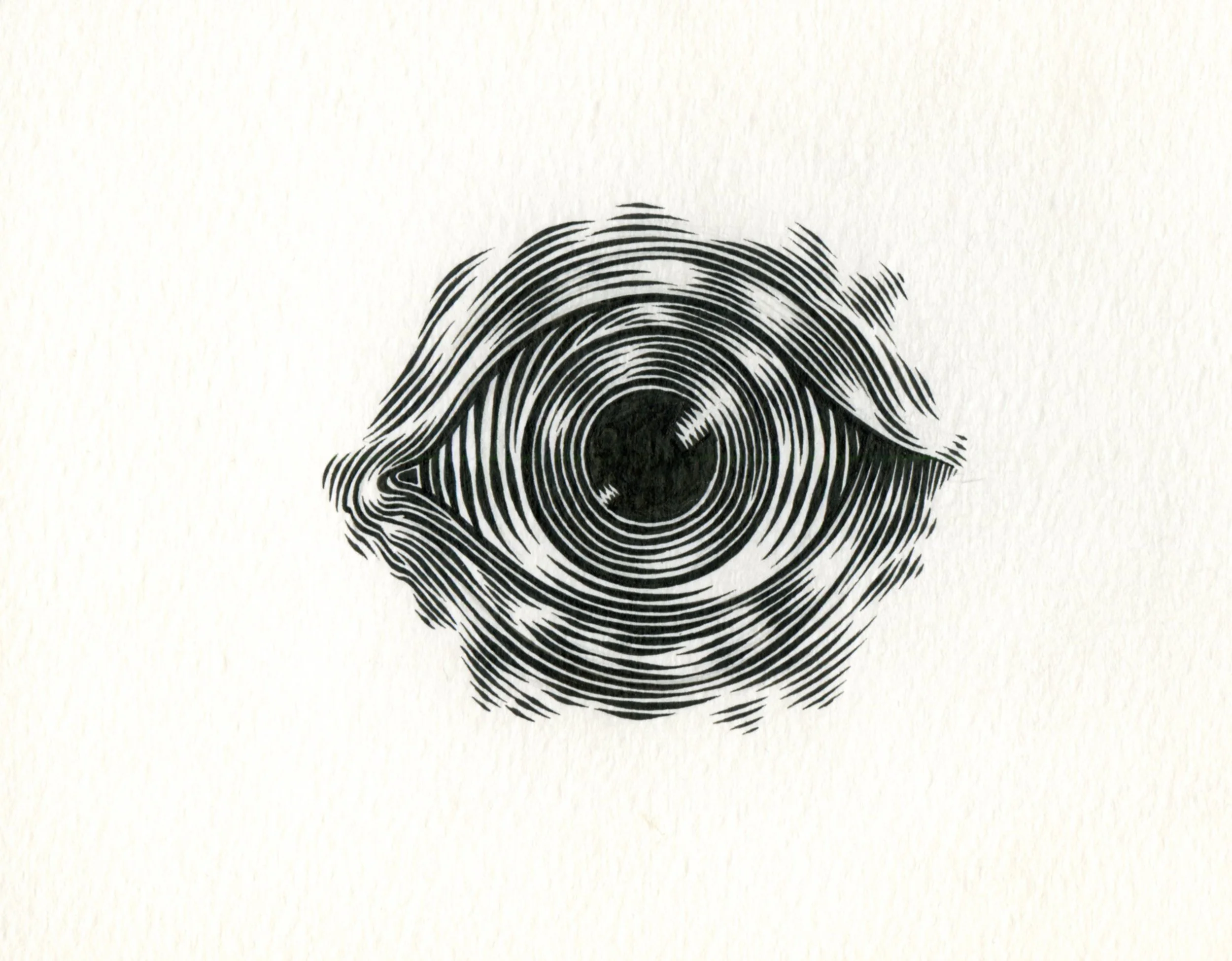 OJO