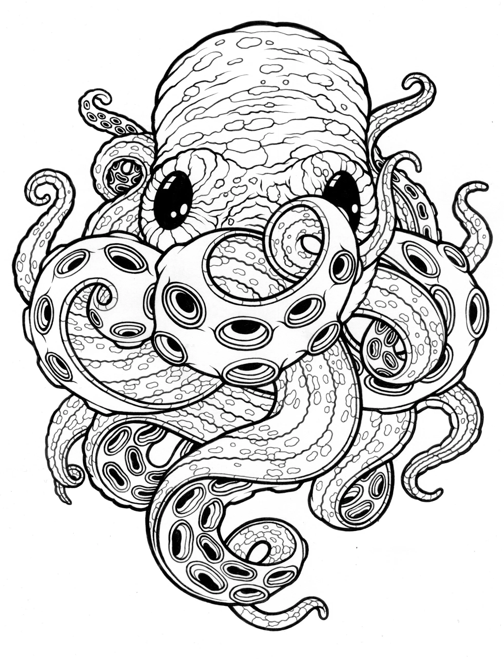 OCTOPUS 2