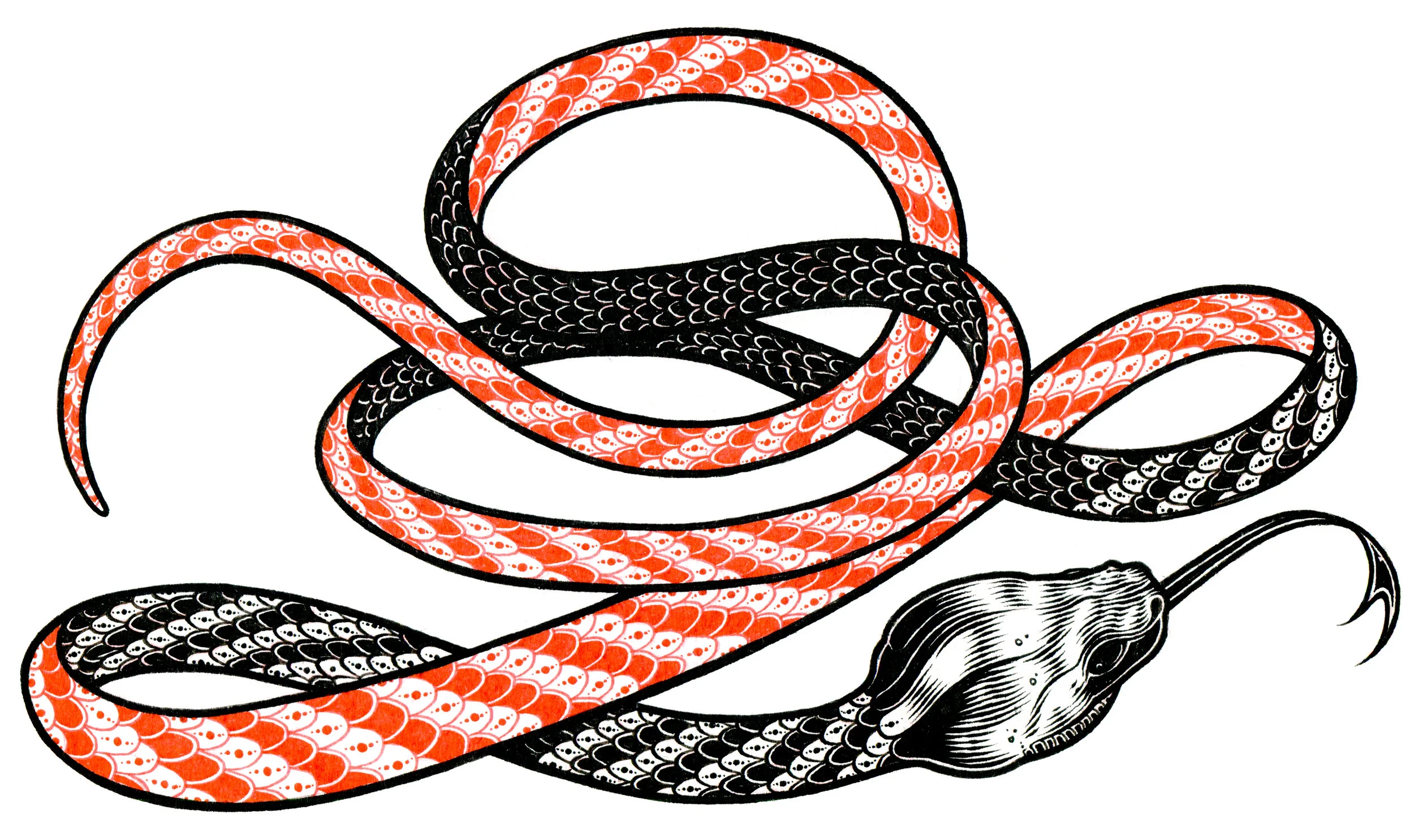SNAKE RIBBON