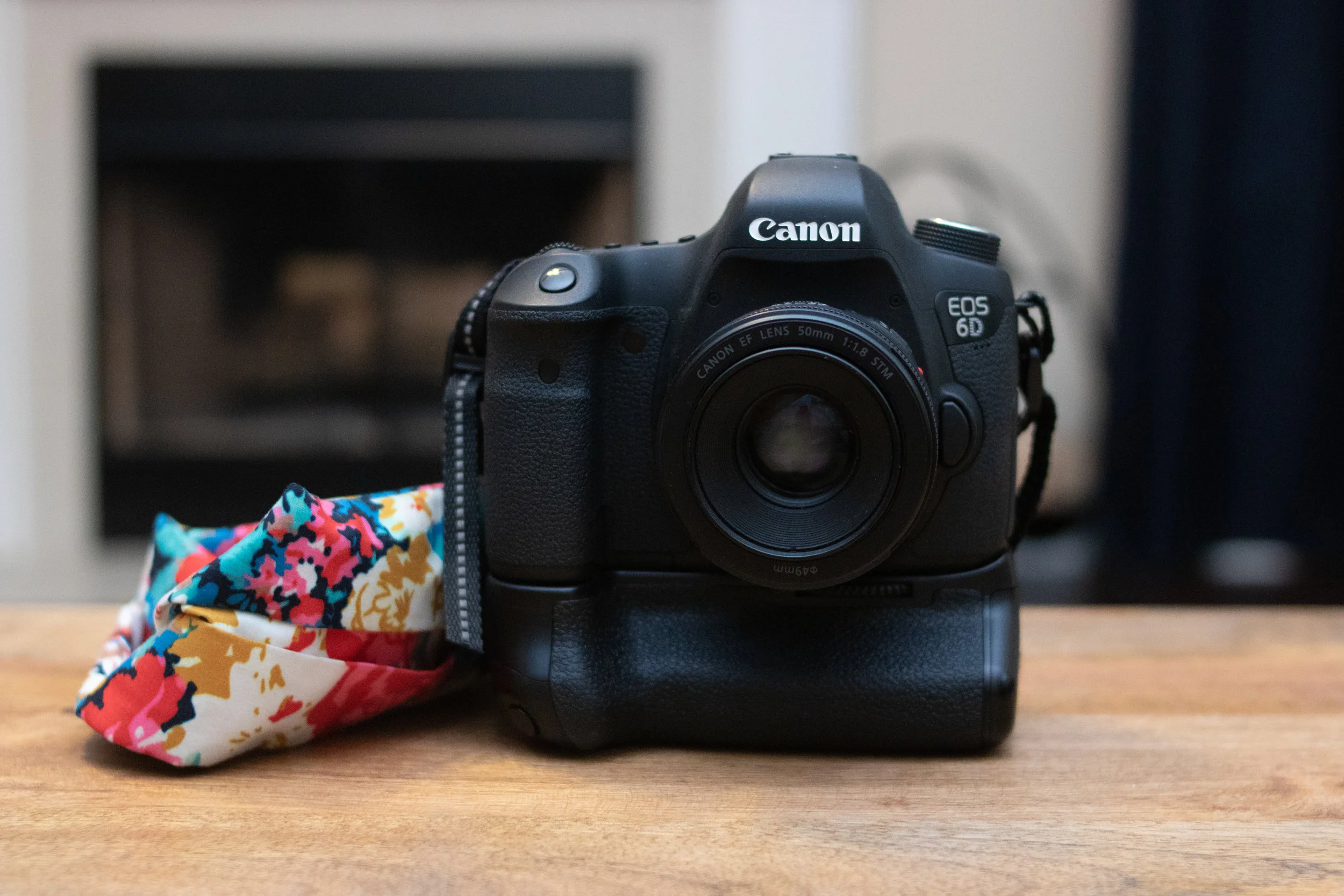 Charlotte-Newborn-Baby-Photographer-Inside-Camera-Bag-1.jpg