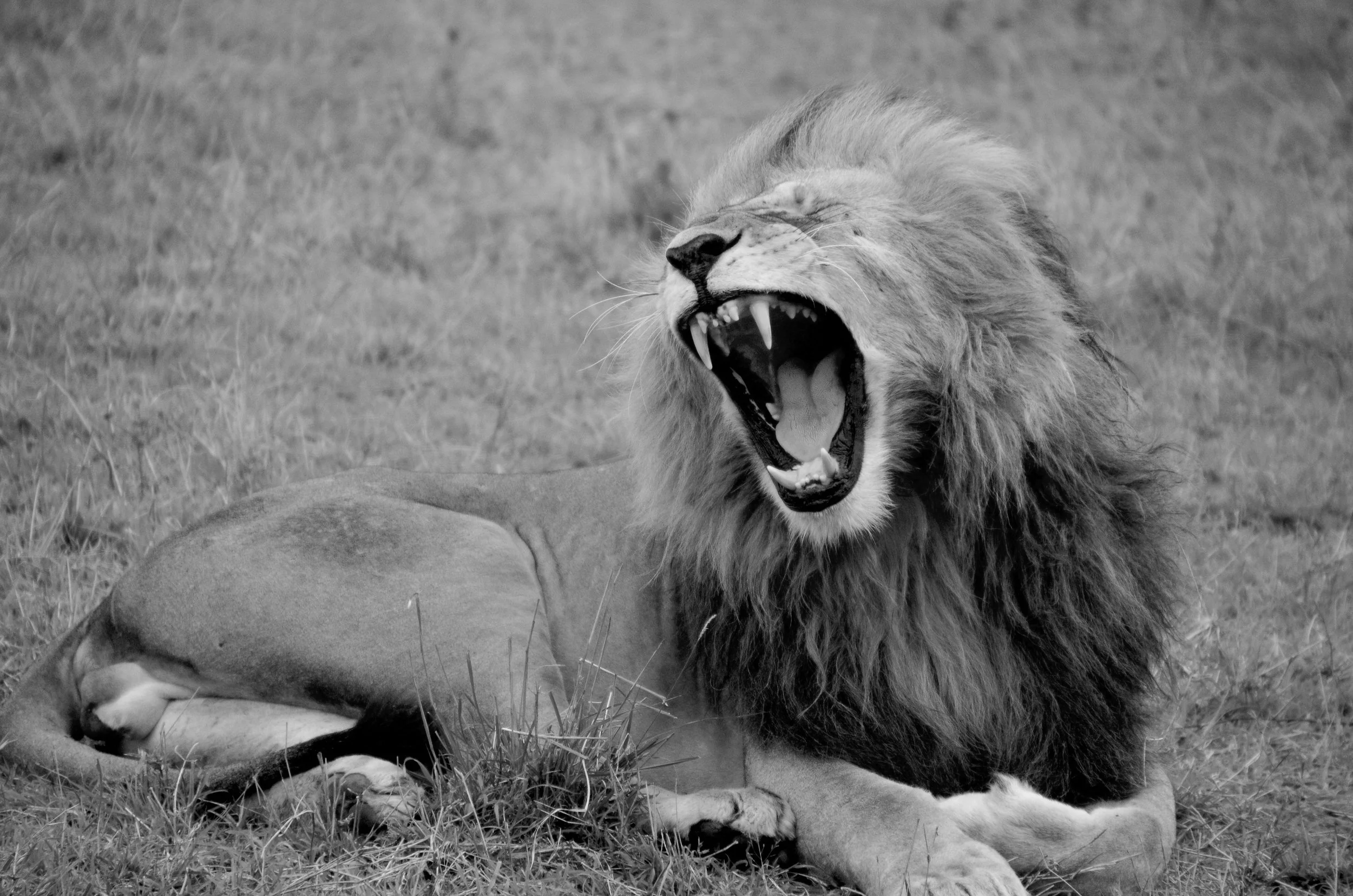 How To Sell Without Being Incredibly Annoying