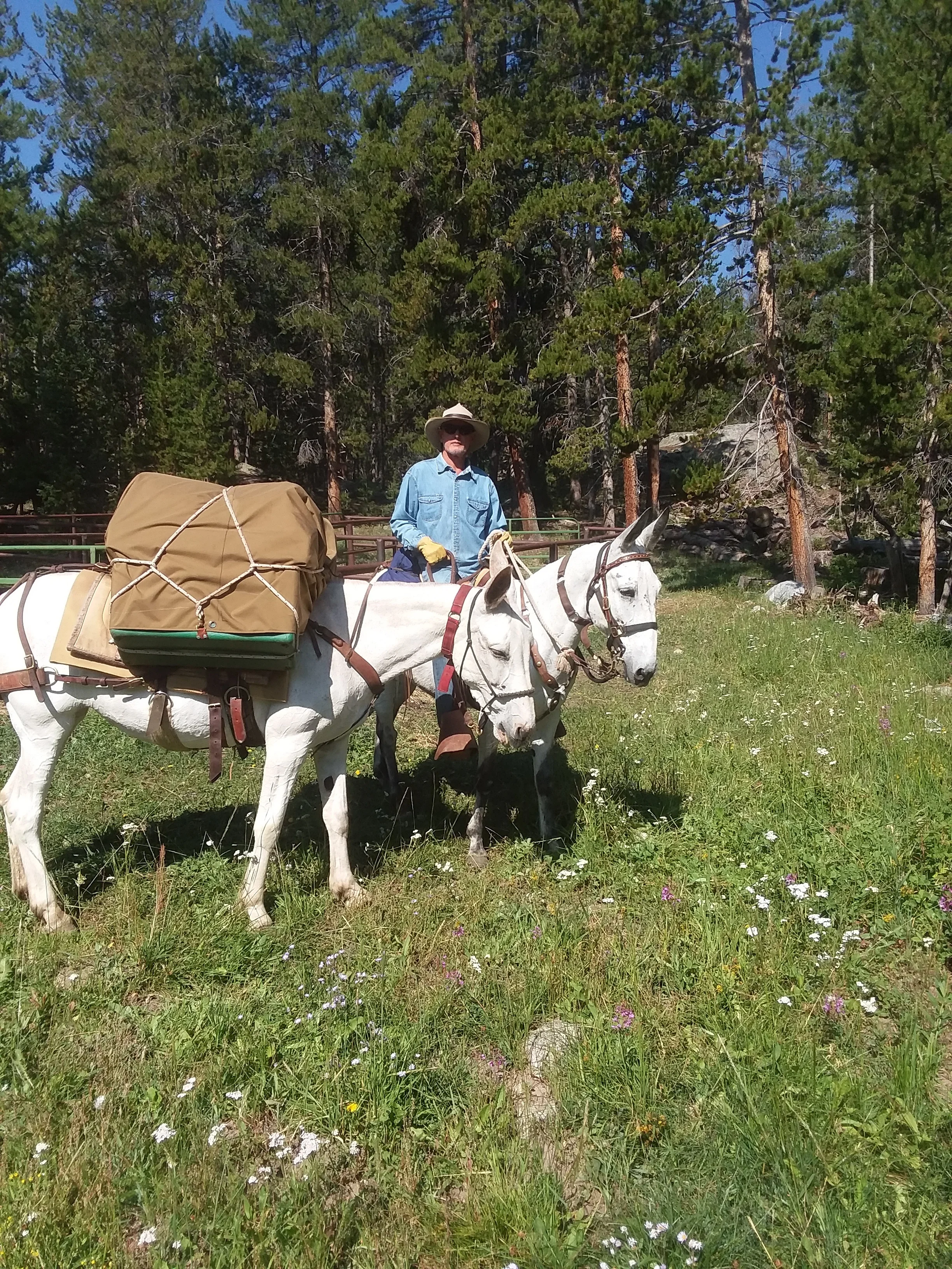 Dad's lake in the Wind Rivers August 2017. Best trip ever!