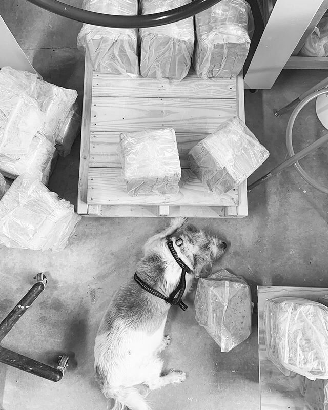 LOVE is when you are unloading 500 lbs of clay and #studiodog needs to be right there...under your feet!