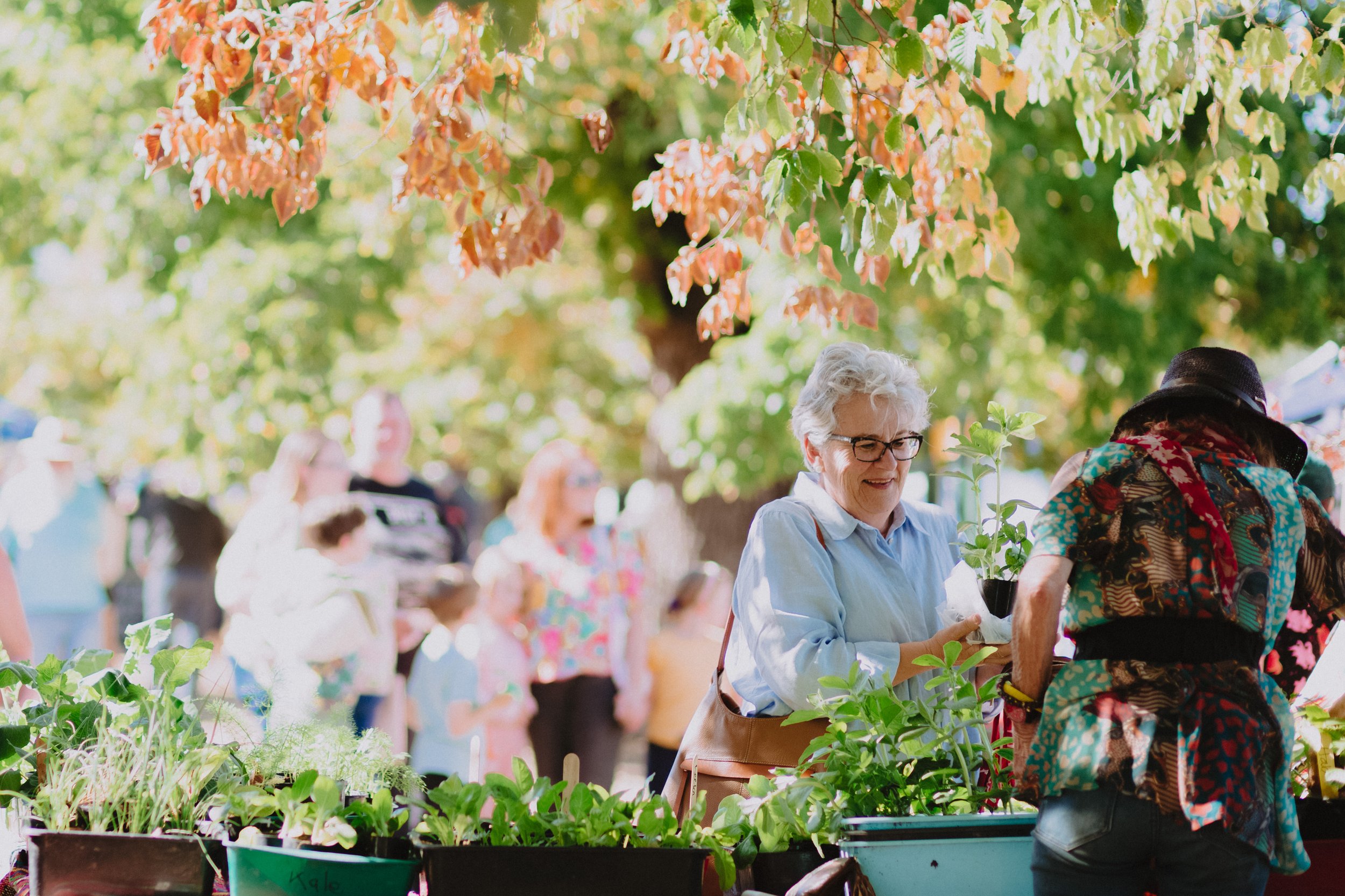 malmsburyfarmersmarket_ChloeSmithPhotography_0063.jpg