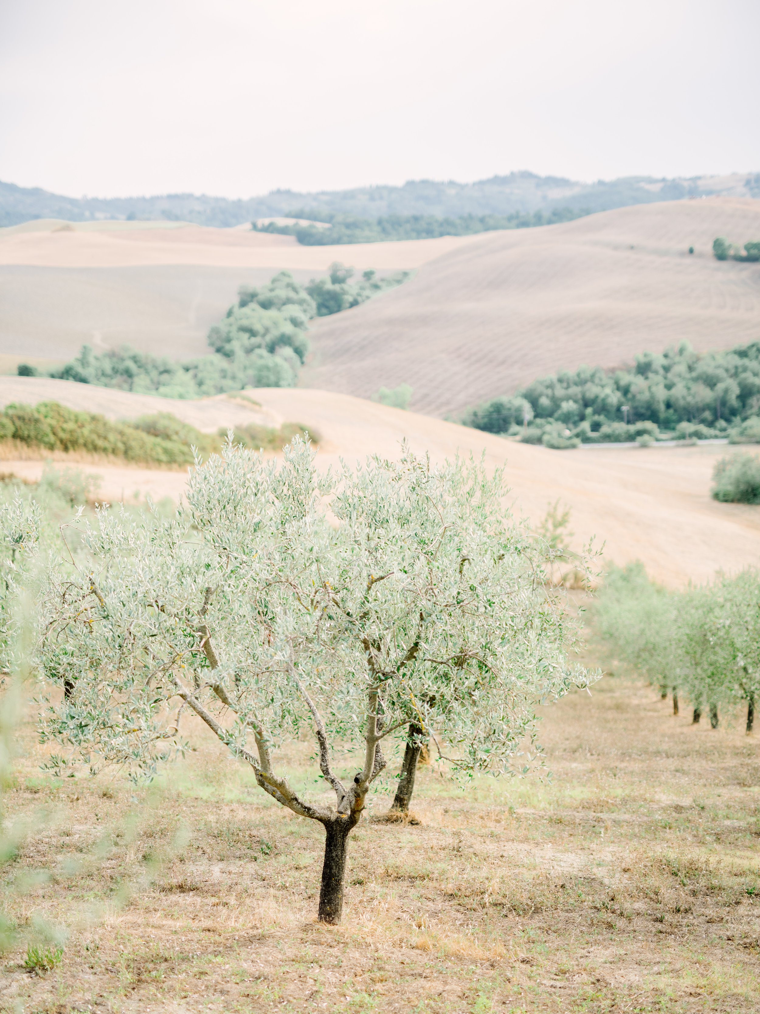 tuscany76.jpg