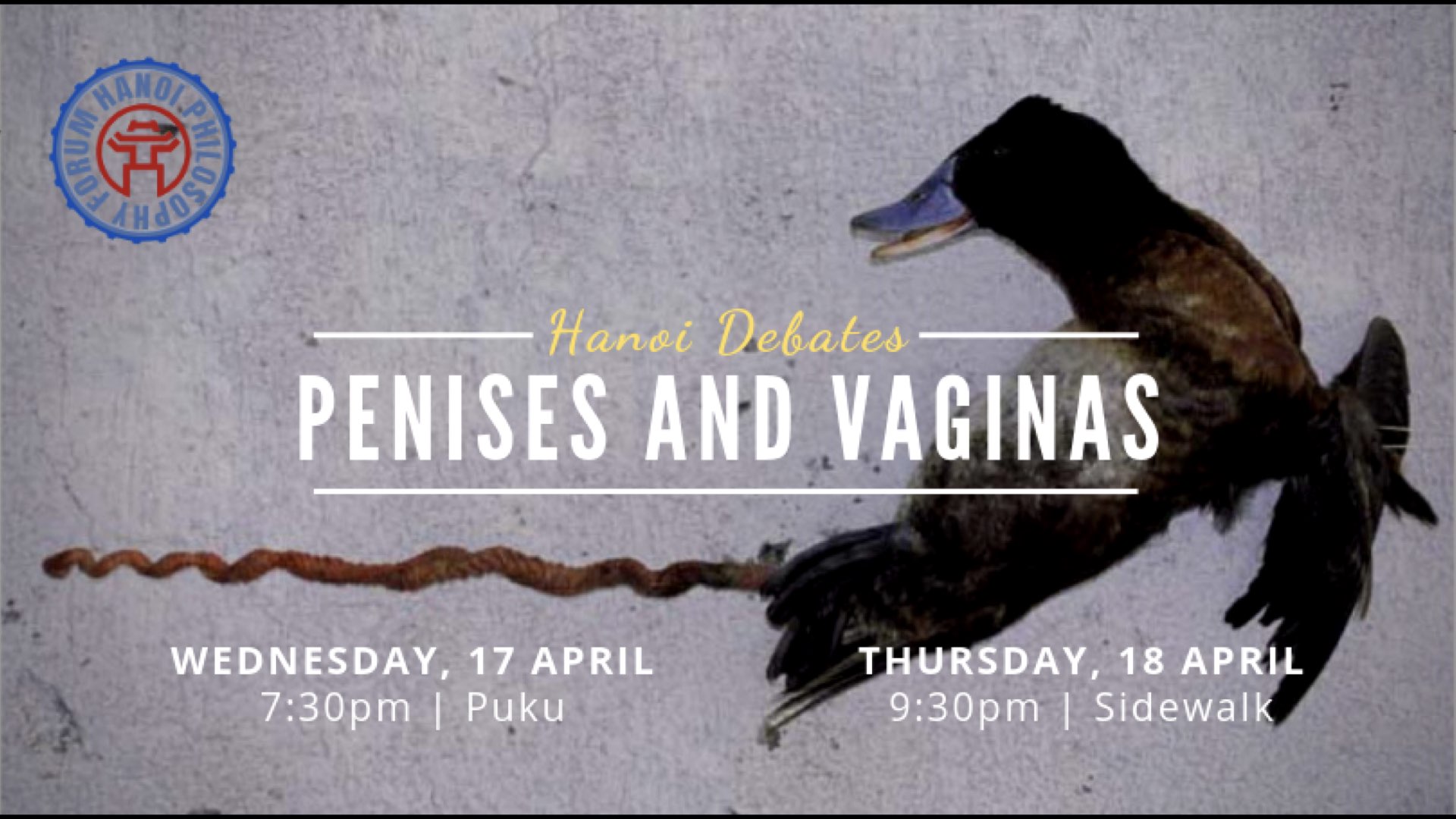 2019.04.17-18 Penises & Vaginas Slide Images.002.jpeg