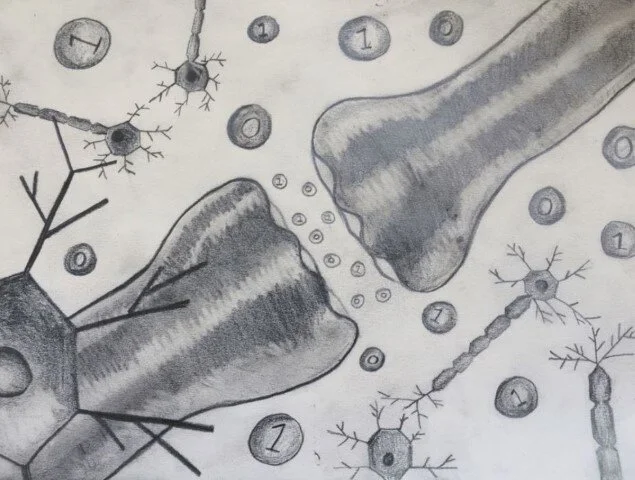 Capture 3 (Small).JPG