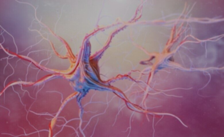 neurons-and-nervous-system-2021-04-02-18-55-06-utc.jpg