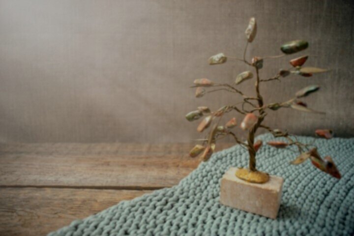 jasper-and-wire-tree-in-the-rays-of-light-on-knitt-DEP6DNX.jpg