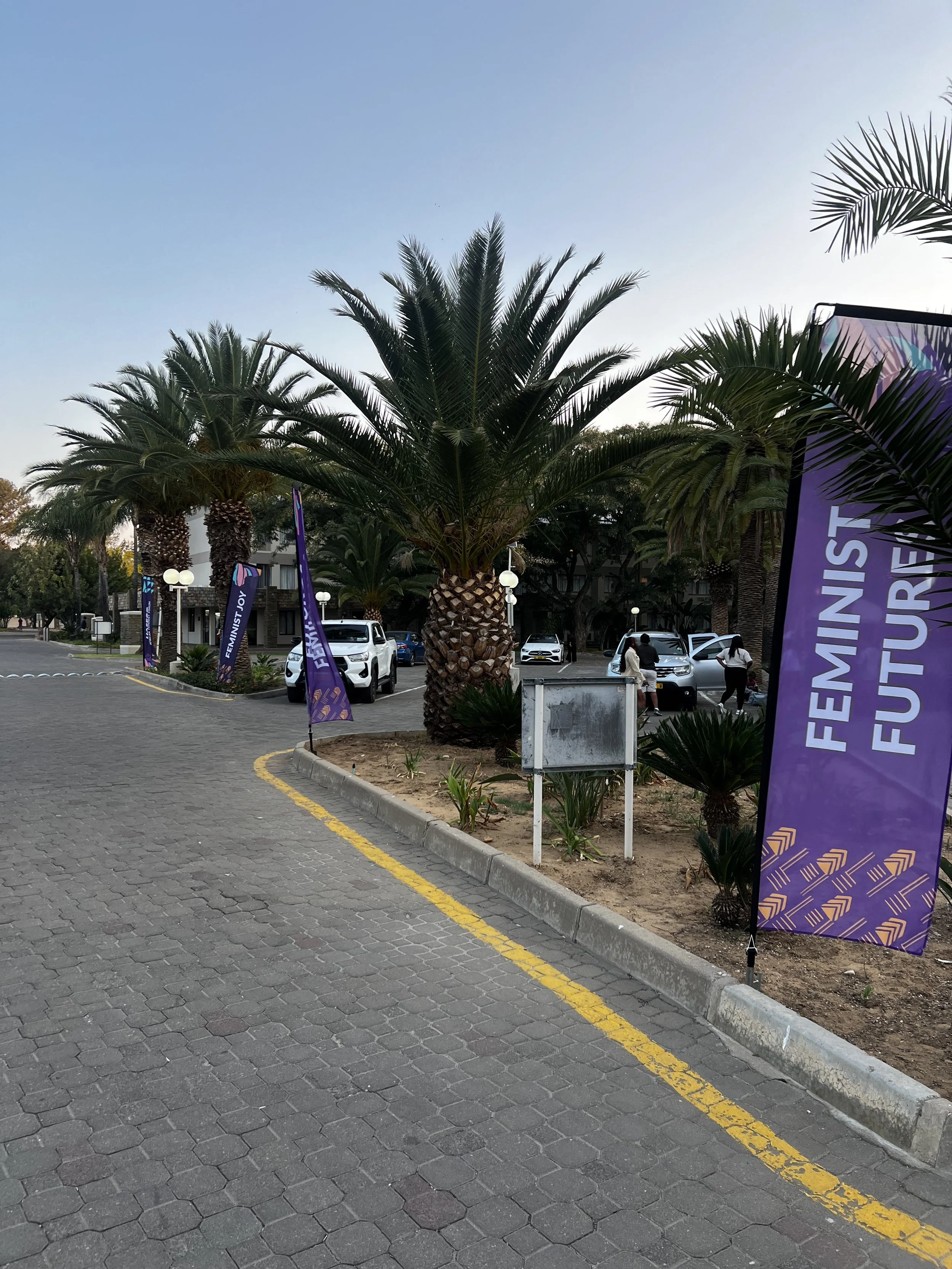AFF Ambient branding nzilanisimu10.JPG