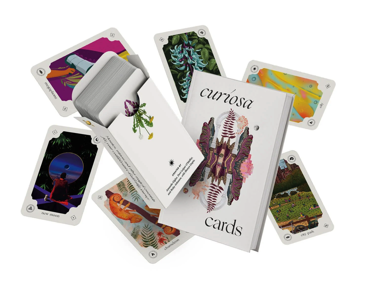 Curiosa Cards Closerthanyouthink.png