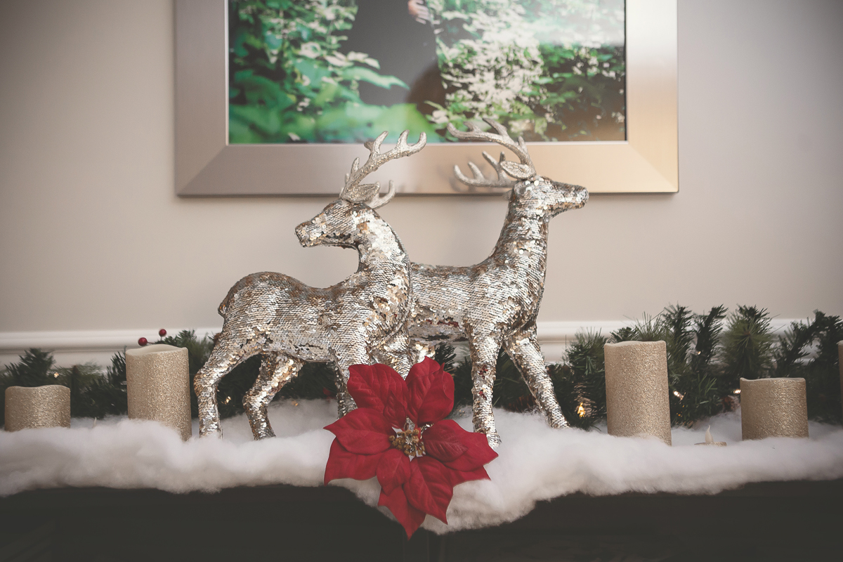 181215_Xmas_2205.jpg