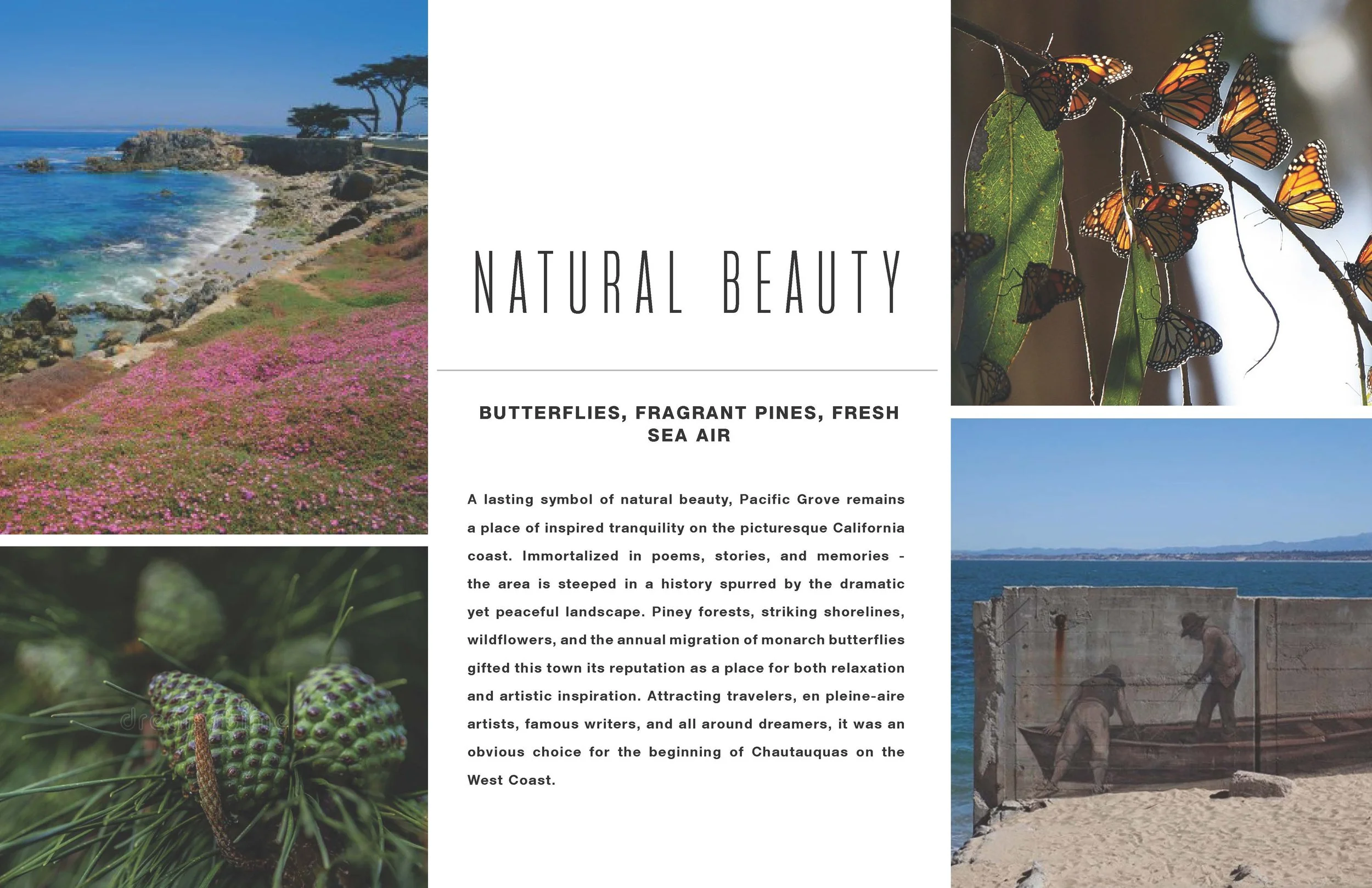 20-0526 MAKR Monterey PG SD- Public_Page_004.jpg