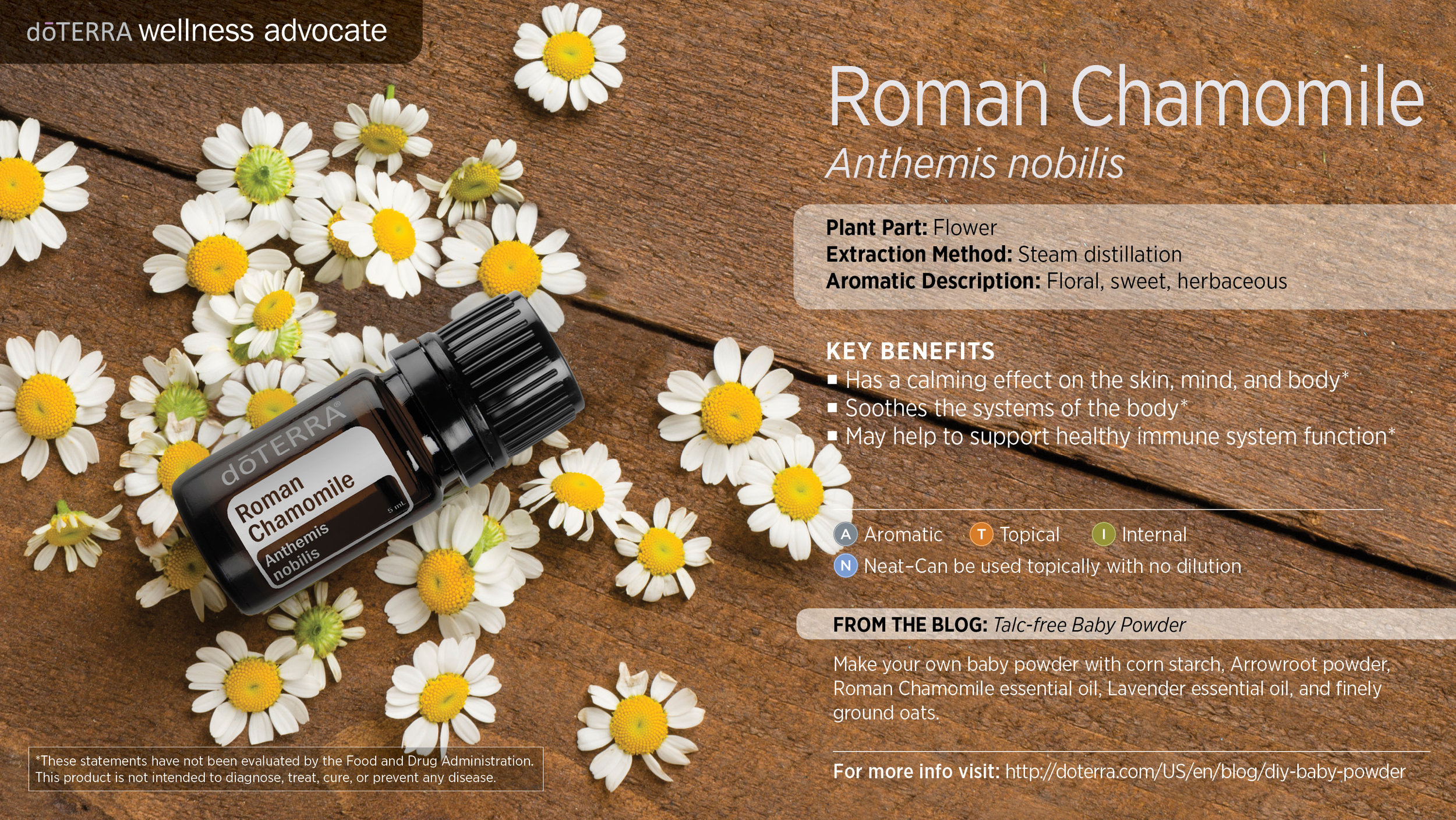 wa-roman-chamomile.jpg