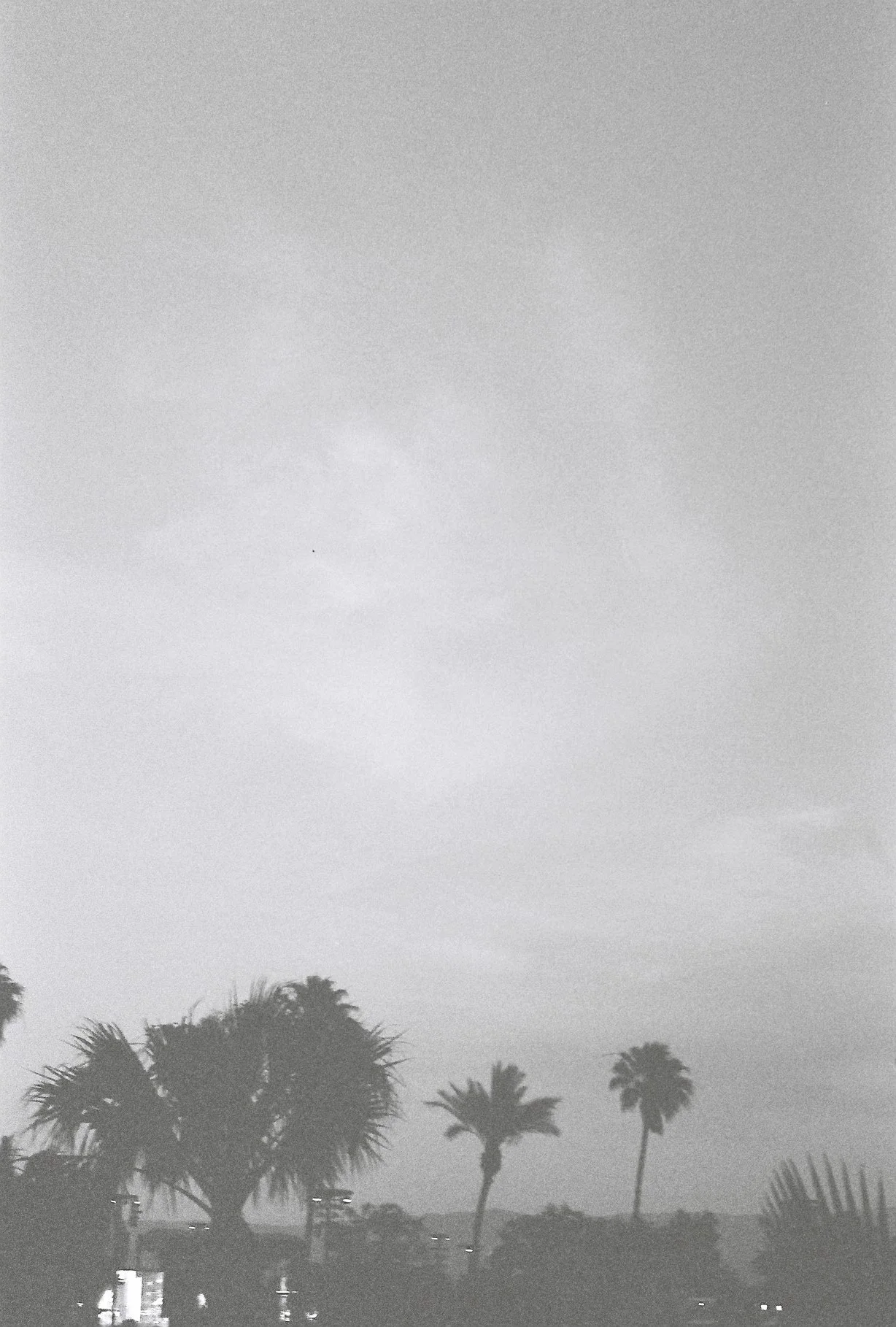 Photography - B & W.JPG
