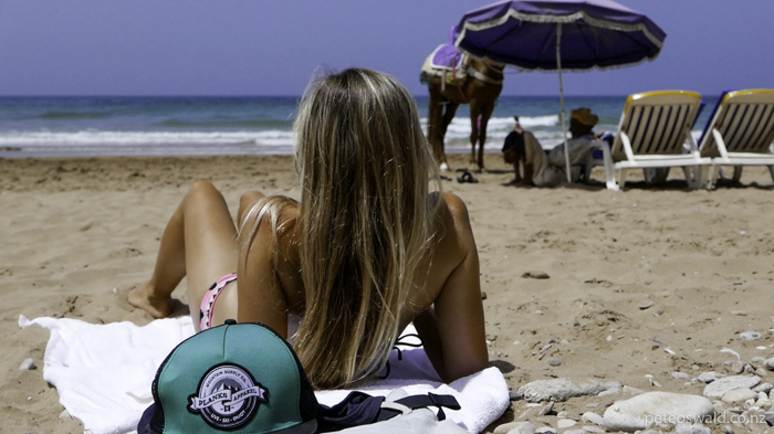 sharing the beaches with camels and horses