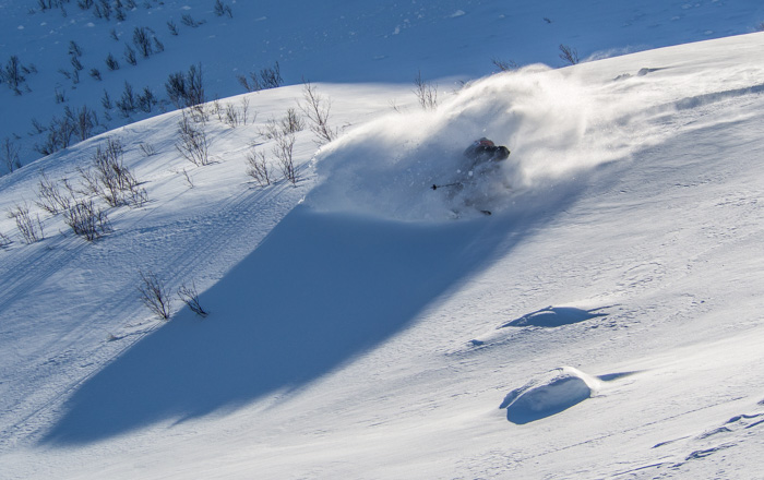 In Vesterålen you can ski both big lines and find fun playful tree-skiing. Skier: Tove Kockum, photo by: Sophie Stevens