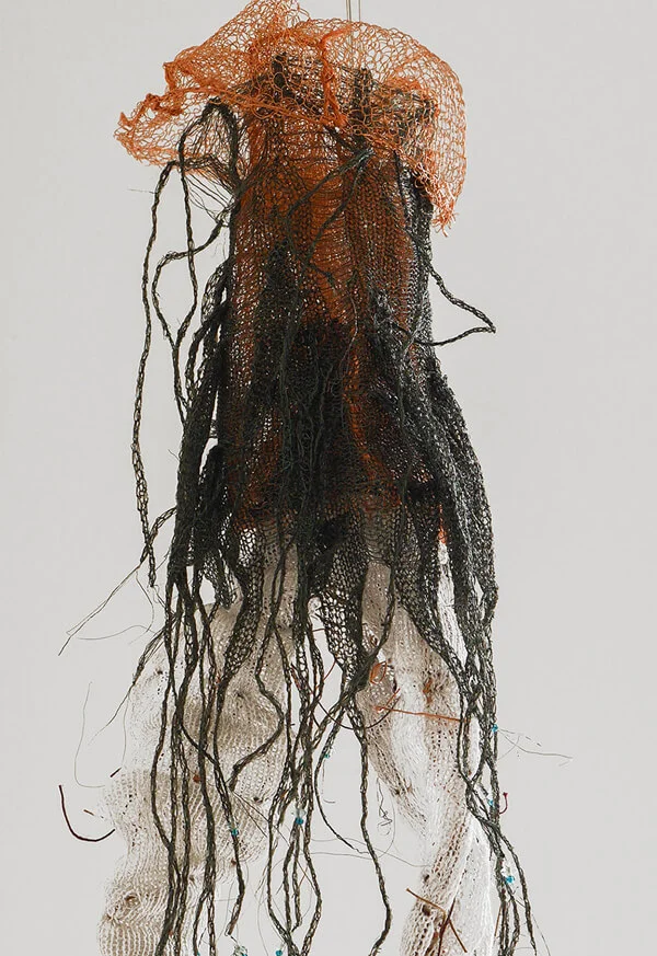 Ranunculus Repens Roots 3 - Detail
