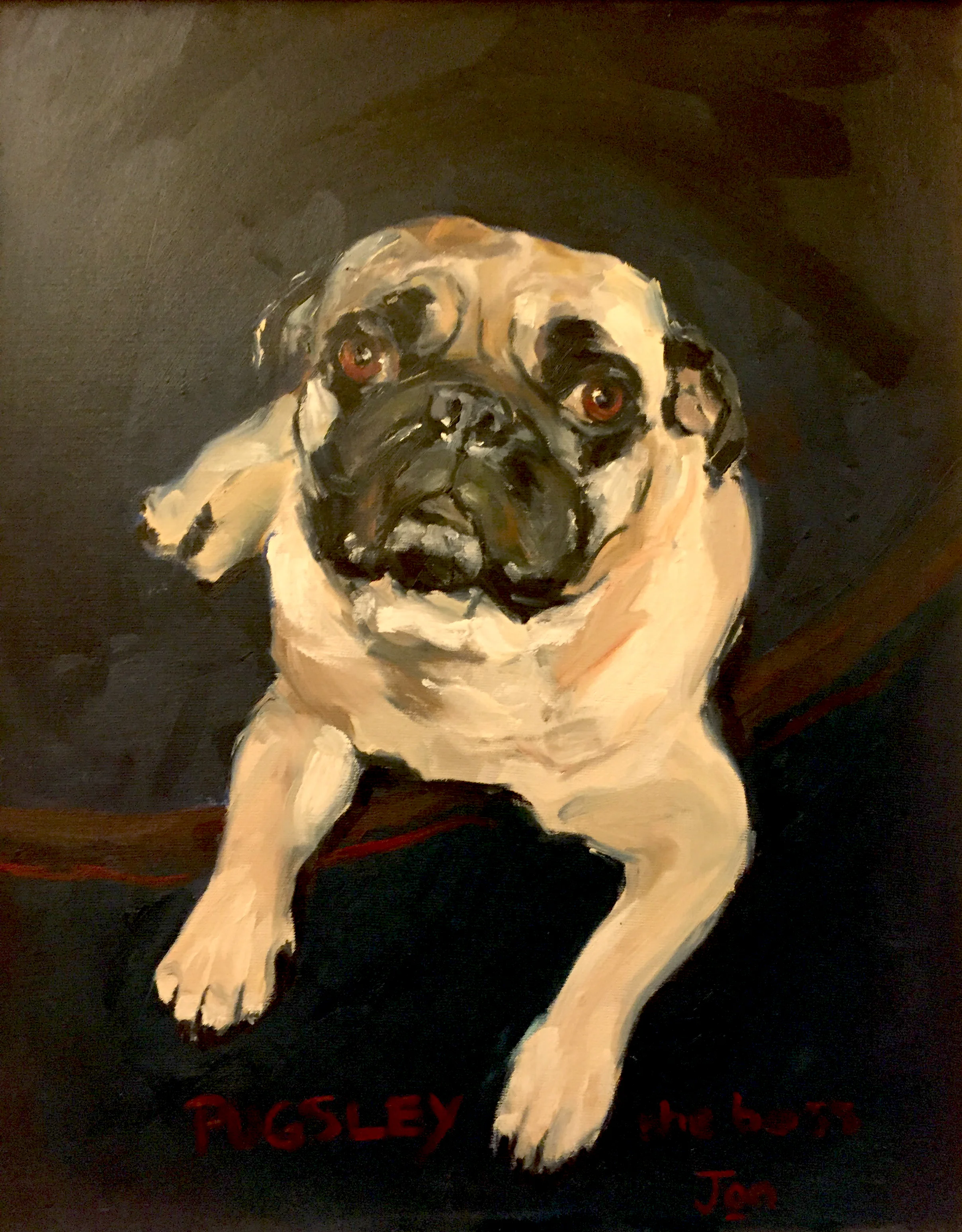 Pugsley the Boss