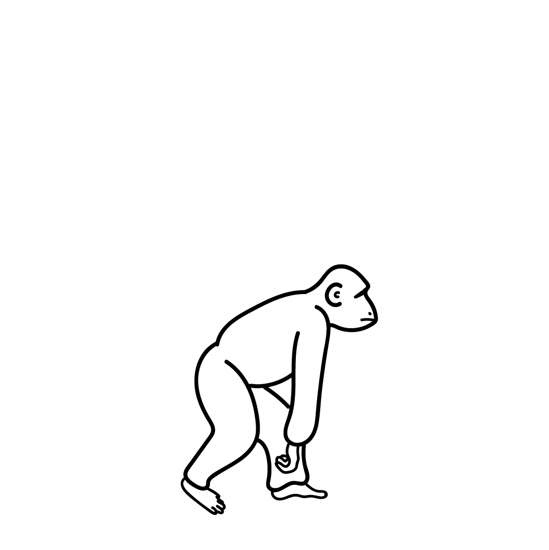 design.gif