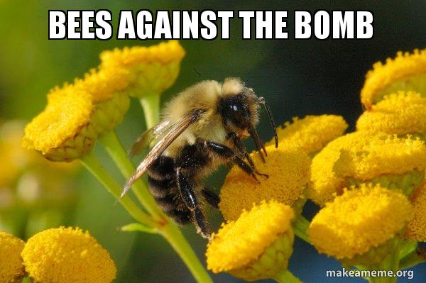 bees-against-the.jpg