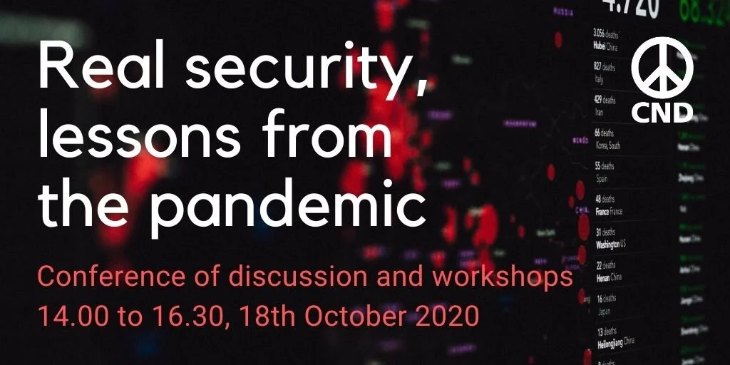 Real security, lessons from the pandemic
