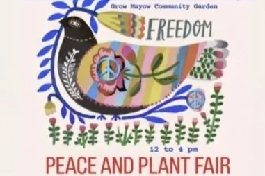 Sydenham Peace and Plant Fair