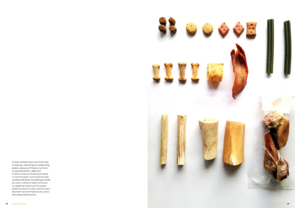 Sample double page spread, self-initiated publication.