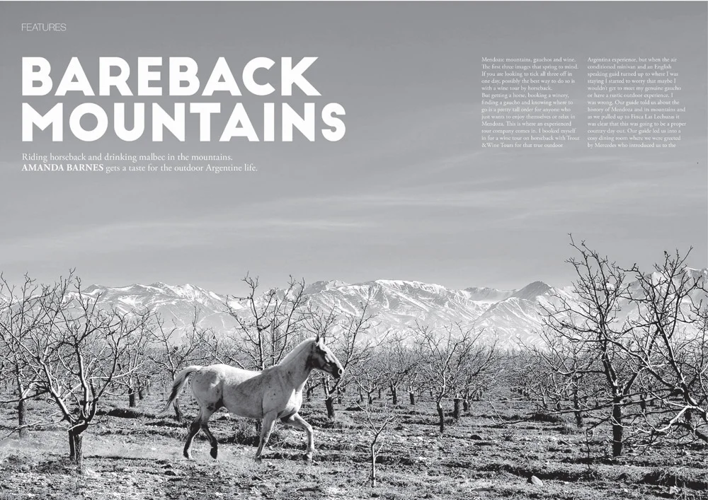 Wine Republic editorial design