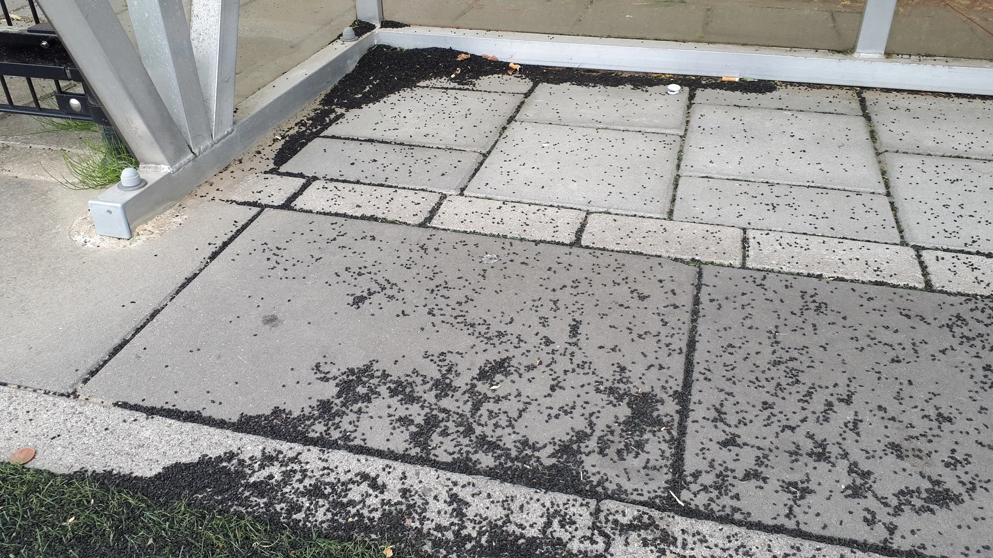 20180709_143716 - kopie.jpg