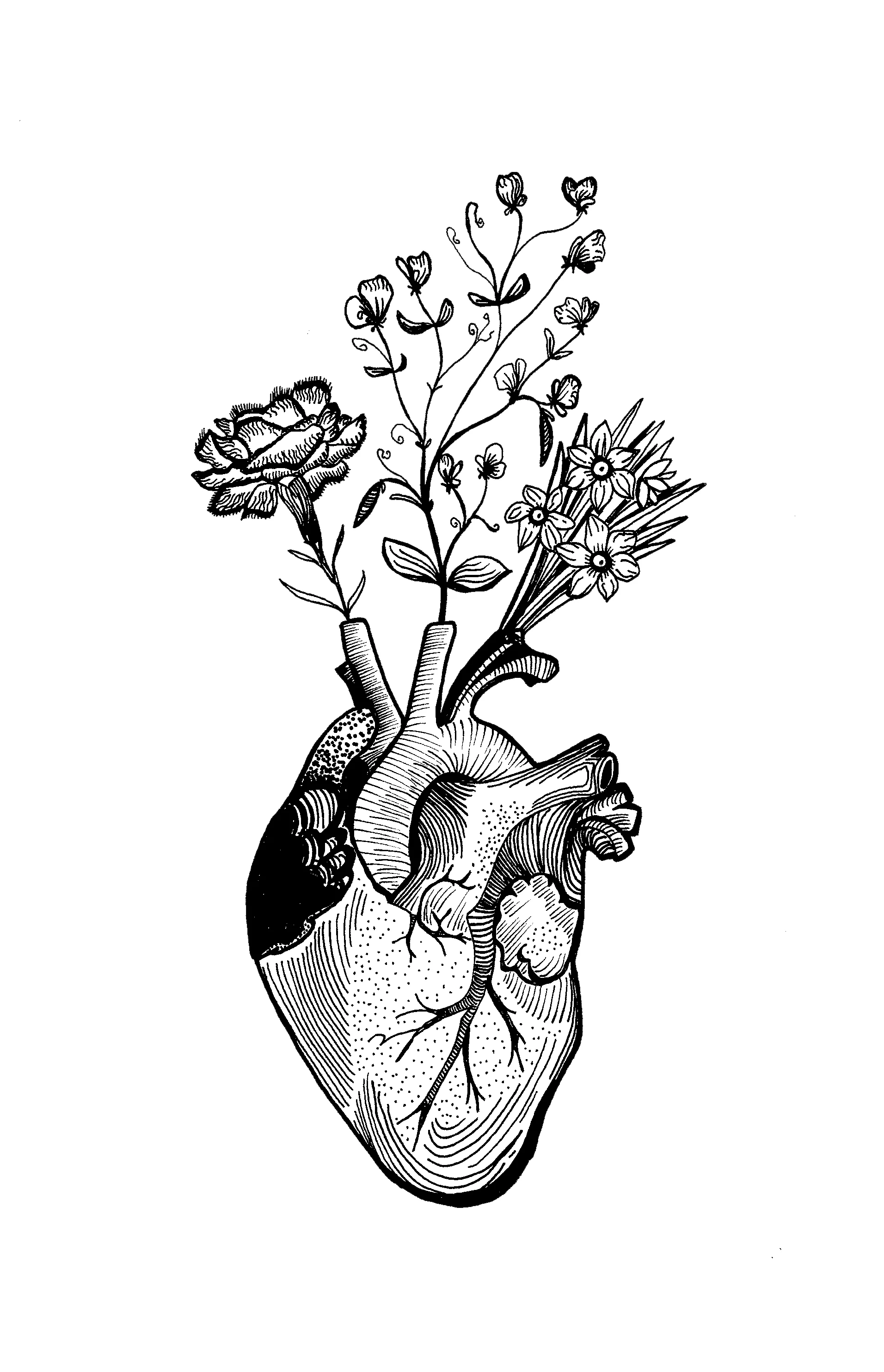 Shannon Anatomical heart with flowers.jpg