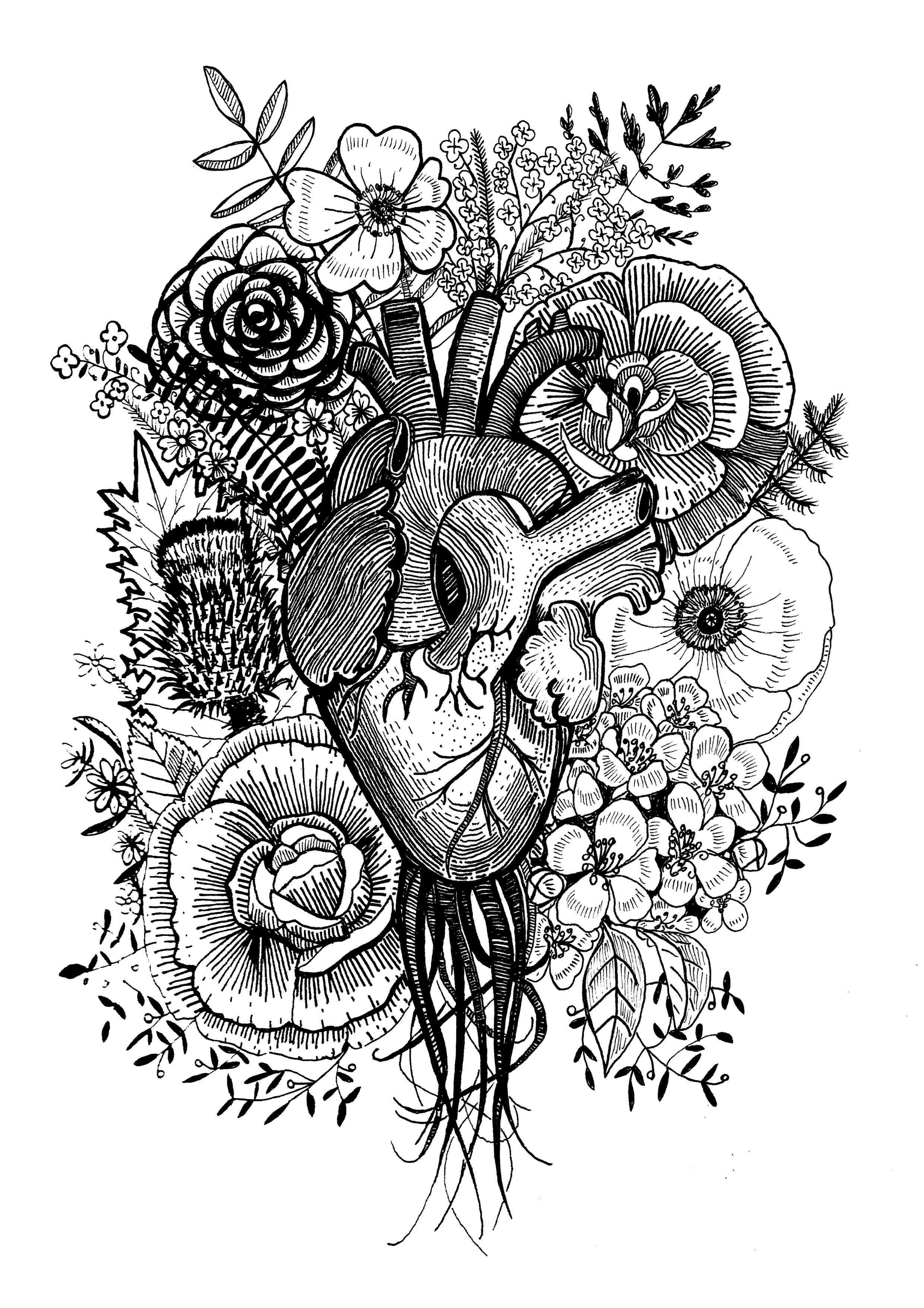 heart, cabbage flower and thistle copy.jpg