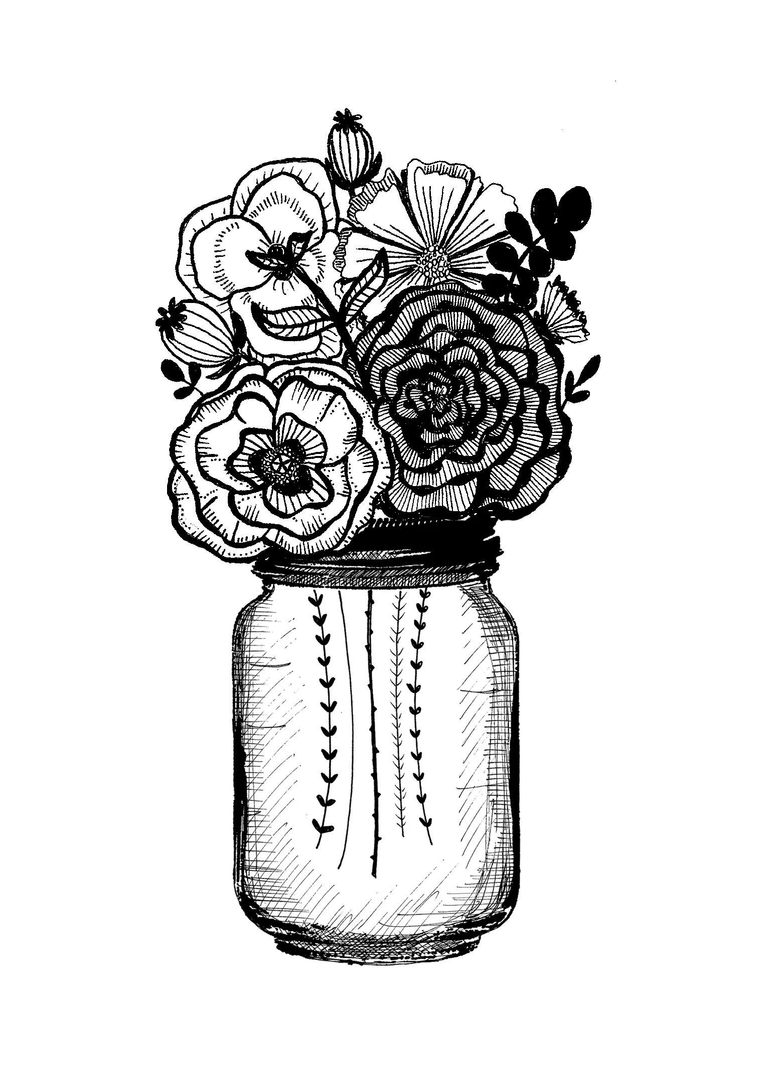 mhairi-stella, illustration for kate 06.02.17 small.jpg