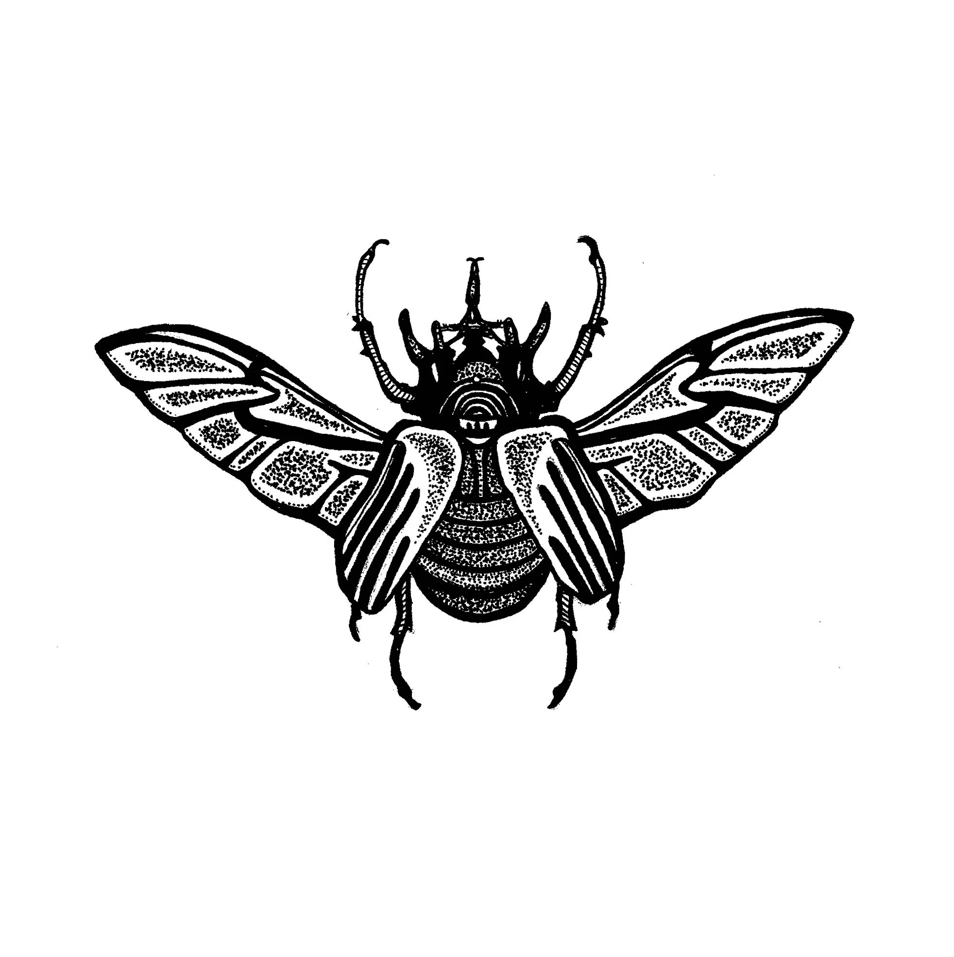 Elephant Beetle Tattoo design 2016.