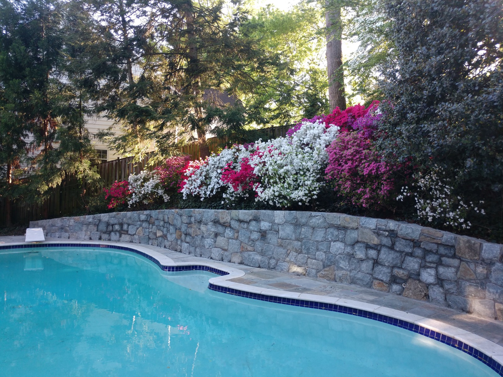   A new wall for this pool and bank of mature azaleas.  