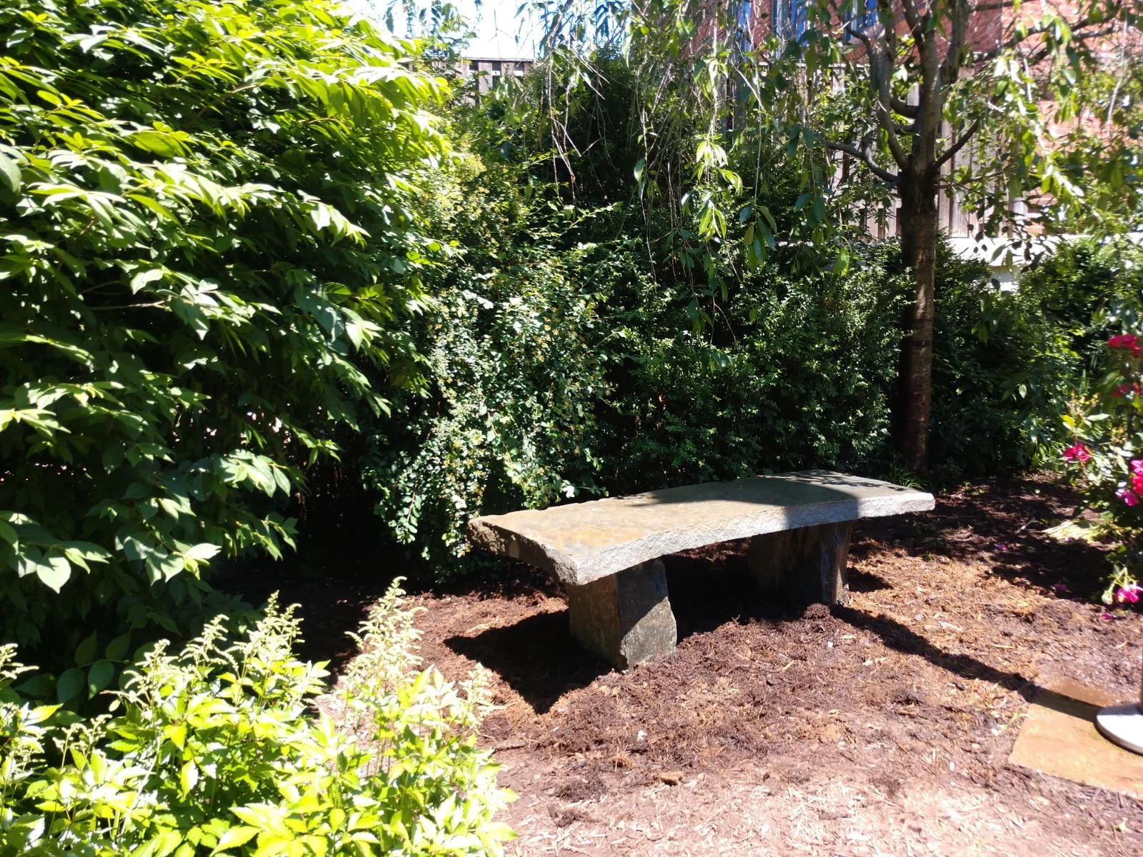   We built this memorial bench for Capital Hill Day School. It is on the edge of the front lawn, nestled into the trees and shrubs.   