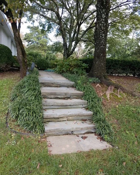 stone steps.jpg