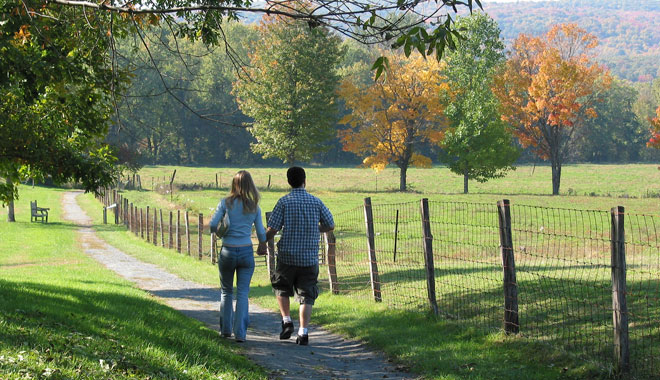 Meadow-walk.jpg