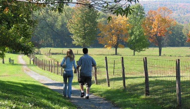 Meadow-walk.jpg