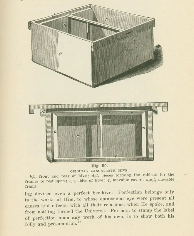 Langstroth-hive-web.jpg