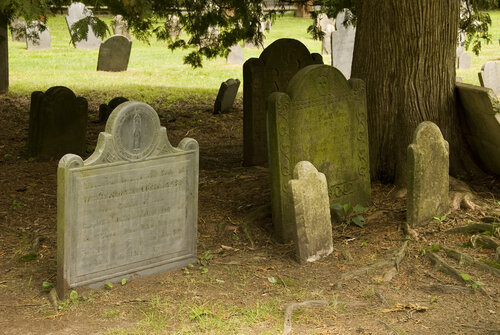 Gravestone Art Tour in Old Burying Ground