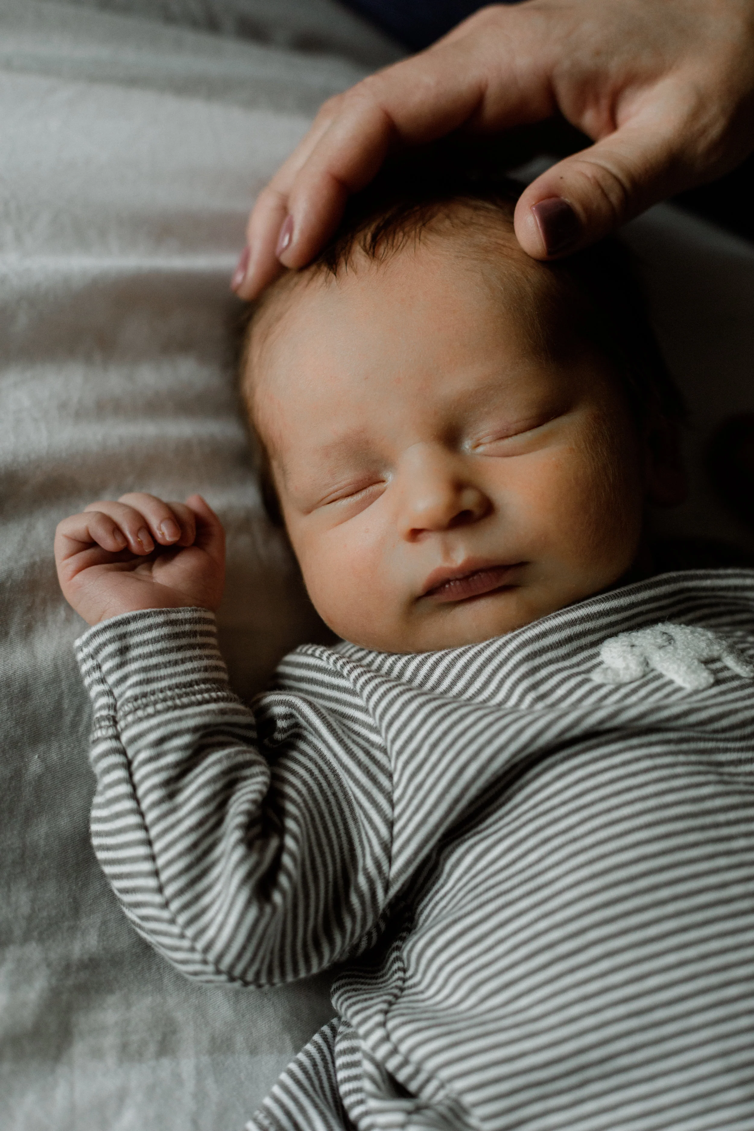 Cofounder Amy's newest addition Trey. Photo by Jenna LeRoy Photography .