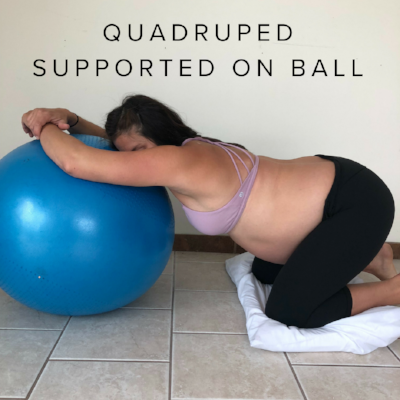 quadruped ball.png